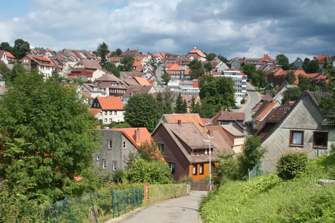 Ferienwohnung Wiesenblick Mit Terrasse Im Landhaus Fischer Sankt Andreasberg Bagian luar foto